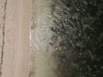 DCIM/101MEDIA/DJI_0103.JPG